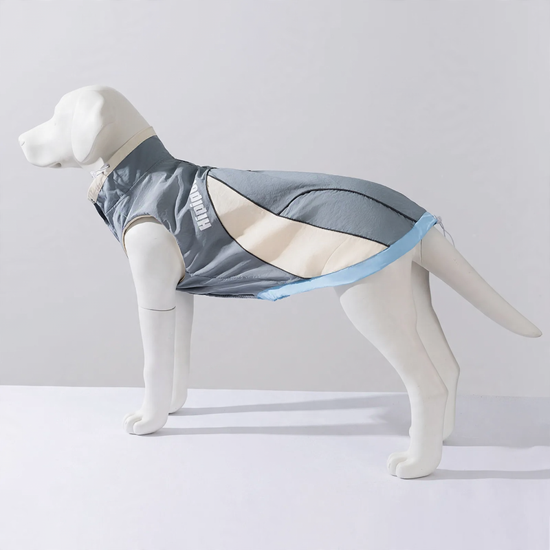 Two-legged jacket for large dogs