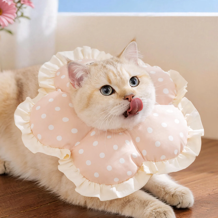 Soft protective neck scarf for cats and dogs after surgery