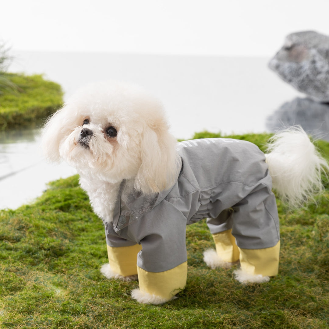 Raincoat for dogs, nylon, waterproof