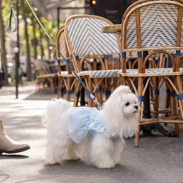 Princess dress for small dogs, summer