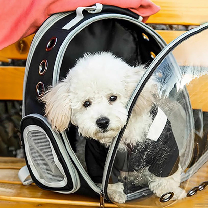 Transport backpack for dogs and cats, canvas