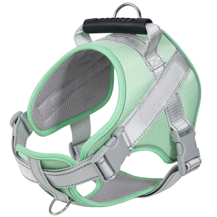 Dog harness made of polyester with leash, multiple sizes