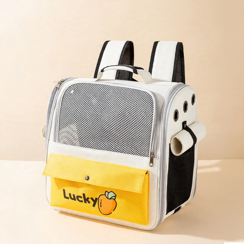 Backpack transport bag for cats and small dogs