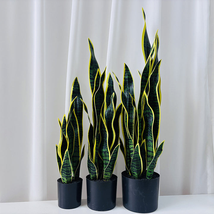 Artificial plant Sansevieria, 50 cm, PE