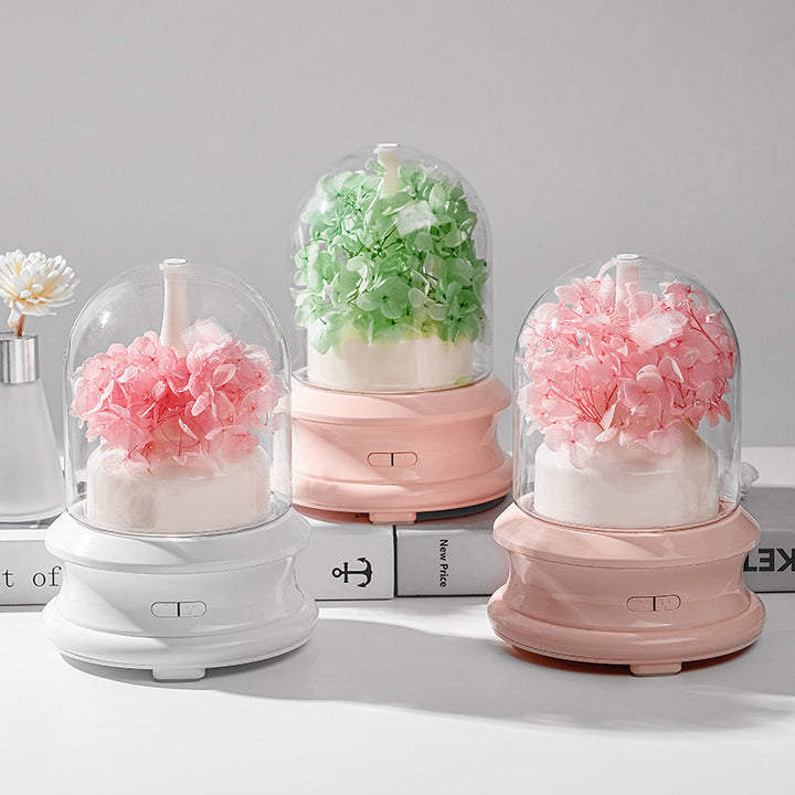Aroma Diffuser with LED light and spray function