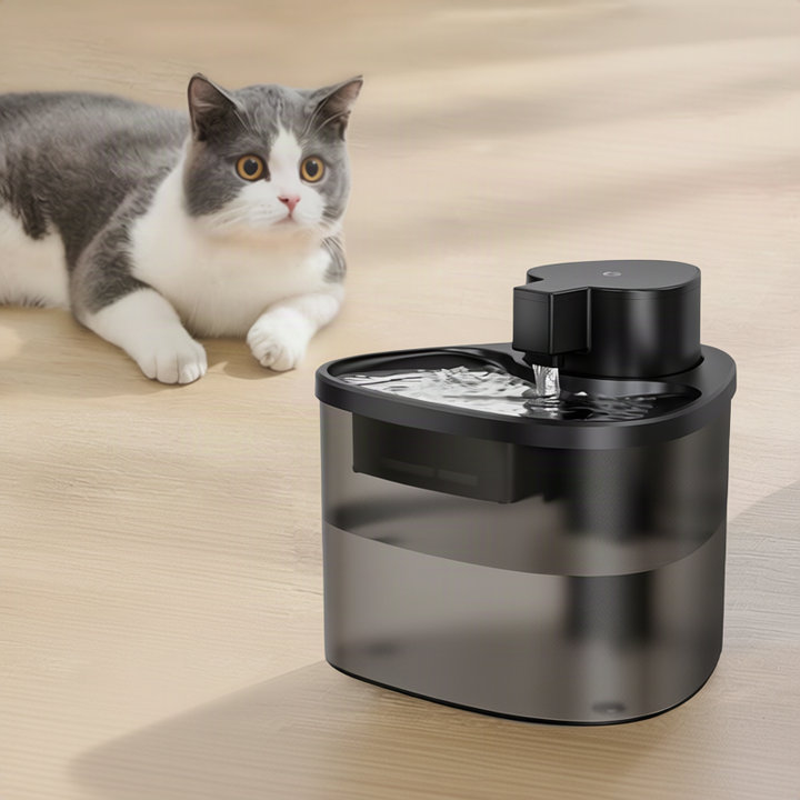 Automatic Cat Fountain with Filtration