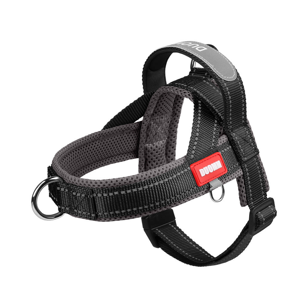 Padded dog harness with leash