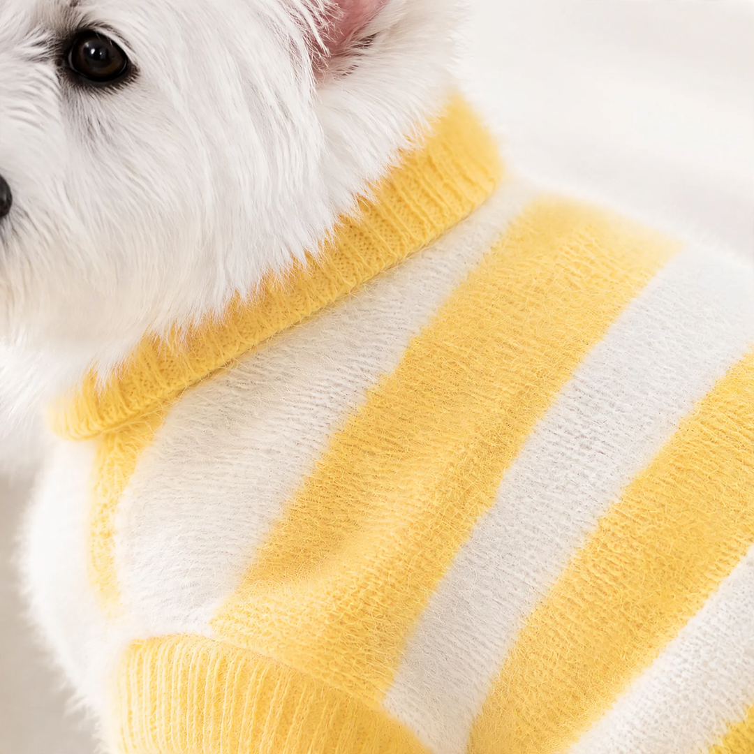 Knitted sweater for pets, two-armed, striped pattern