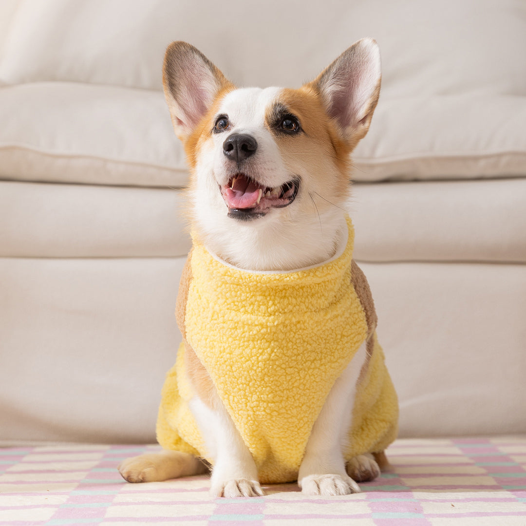 Dog Hoodie Fleece, Contrasting Colors, Two-Arm