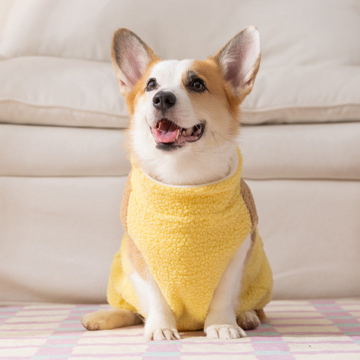 Dog Hoodie Fleece, Contrasting Colors, Two-Arm