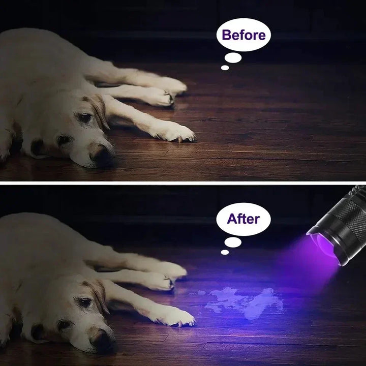 Kalsten | LED UV Flashlight - Ultraviolet Inspection Lamp for Pet Urine and Stain Detection