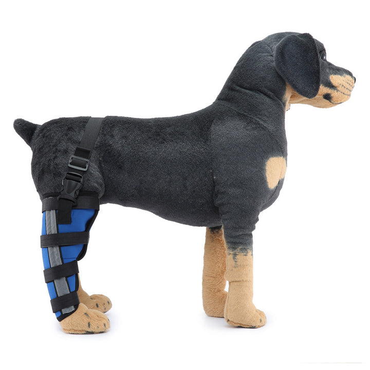 Hind leg support sleeve for dogs, year-round