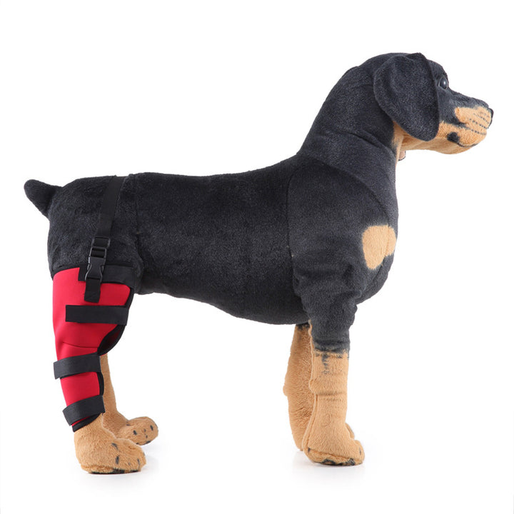 Hind leg support sleeve for dogs, year-round