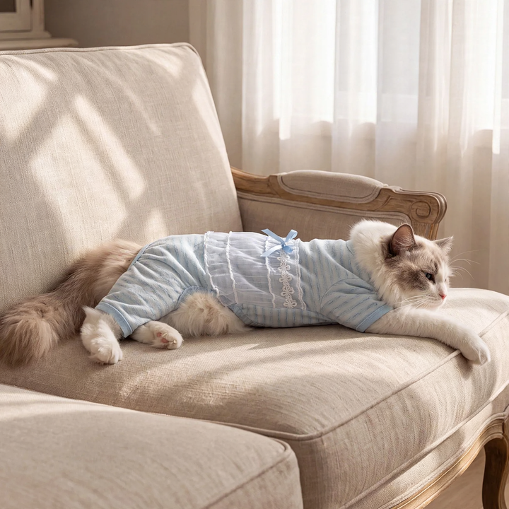 Cat belly protection, thin, four legs, summer