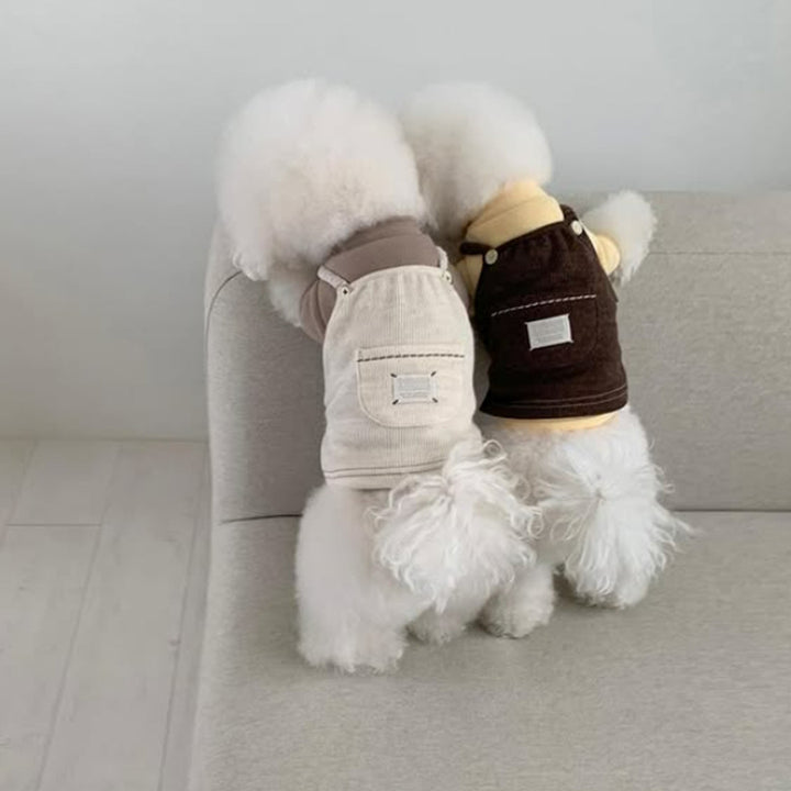 Dog carrier dress made of cord, with pocket