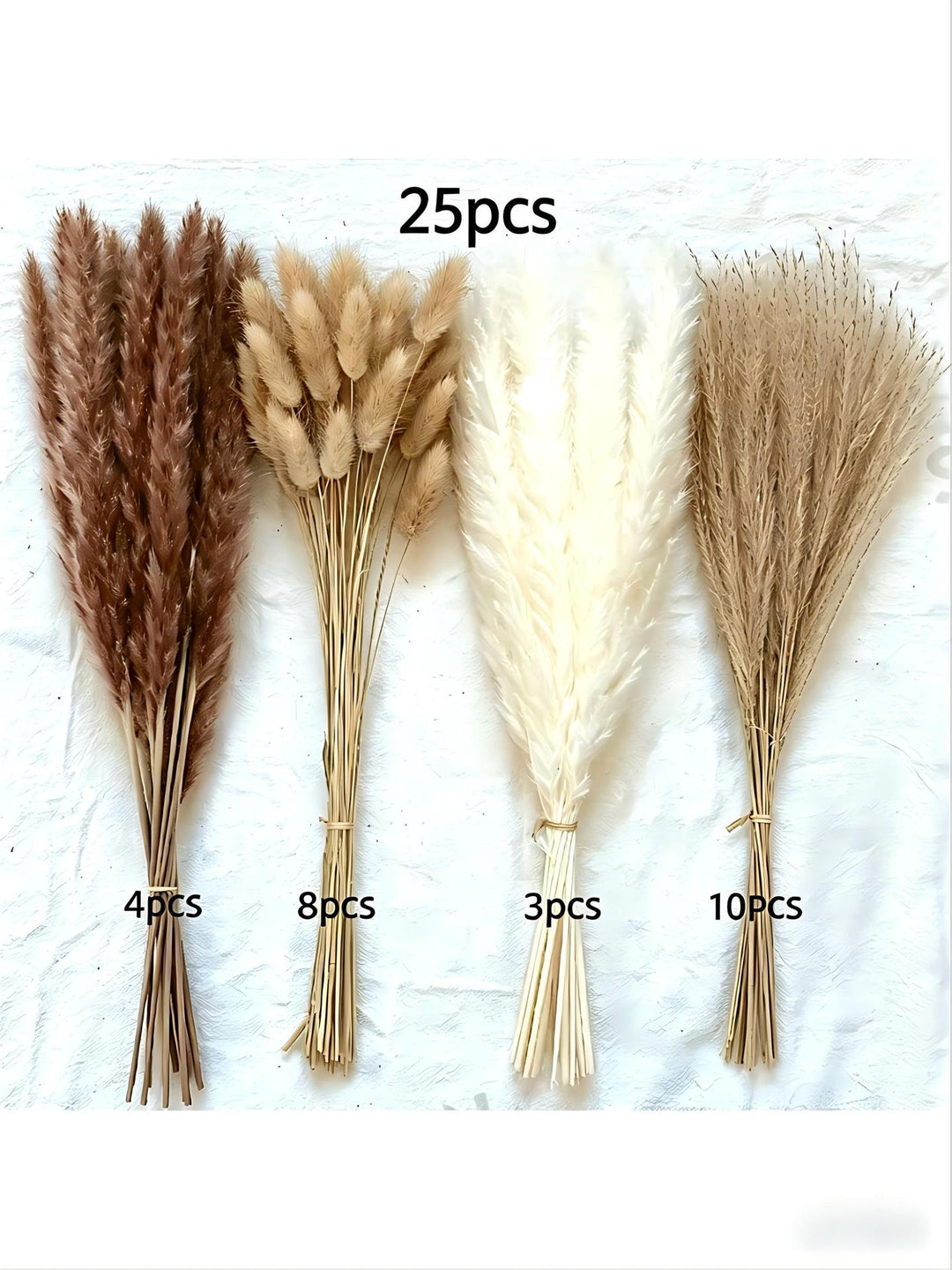 Bleached pampas grass, 145 cm, 10 pieces