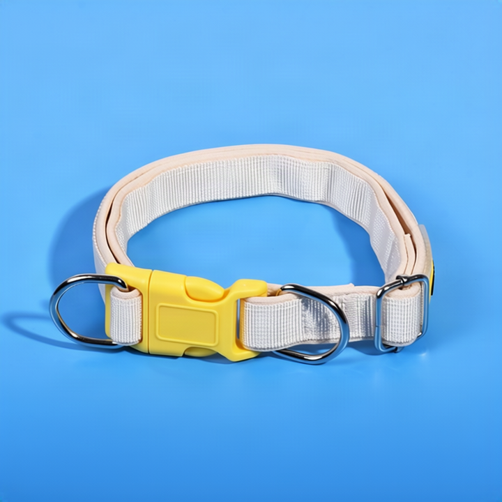 Dog collar made of polypropylene