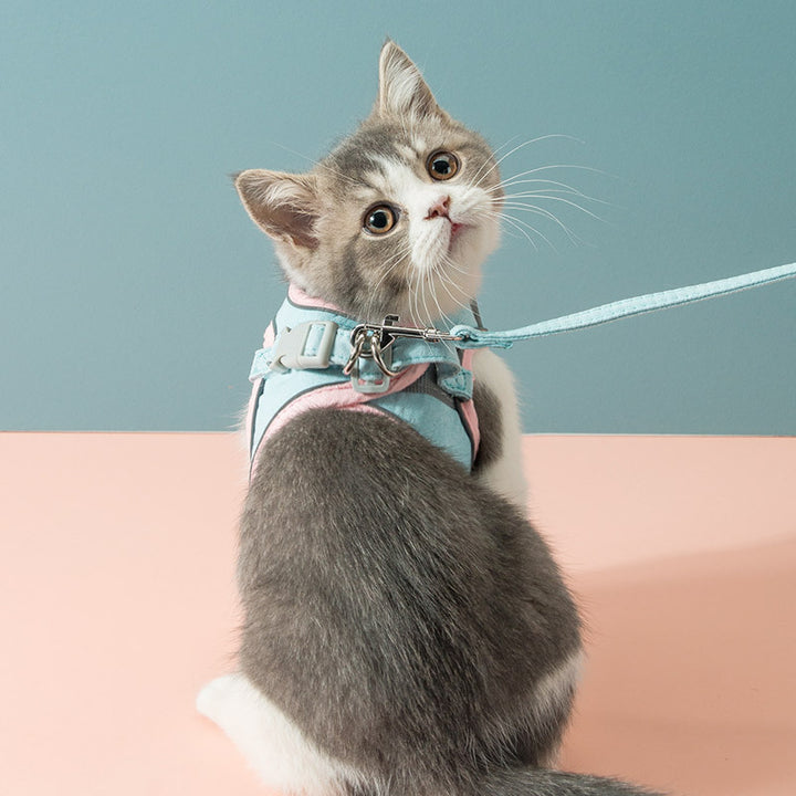 Reflective harness with leash for cats and small dogs