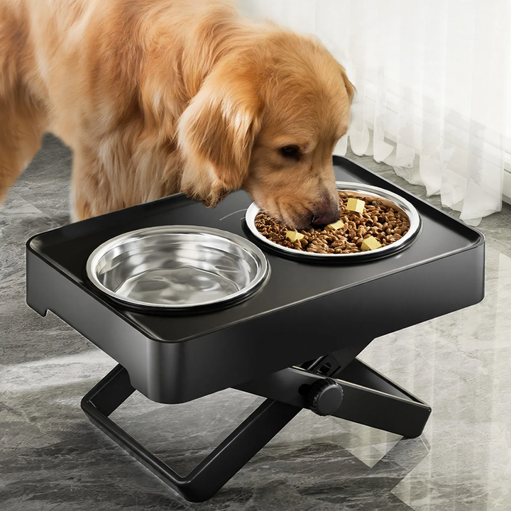Raised double bowl made of stainless steel for large dogs