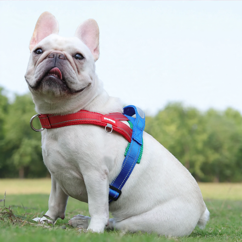 Nylon-Chest Harness for Small Dogs, Multiple Sizes