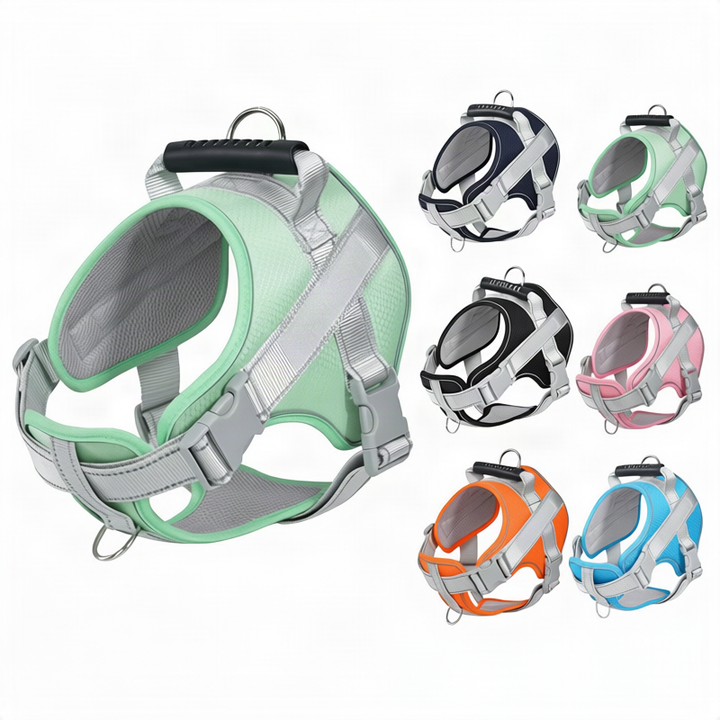 Dog harness made of polyester with leash, multiple sizes