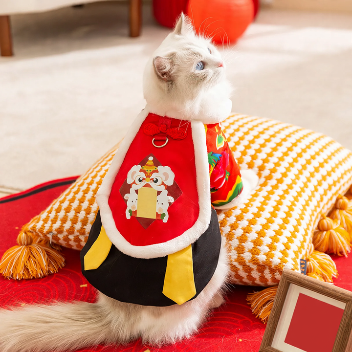 Padded winter clothing for cats and dogs