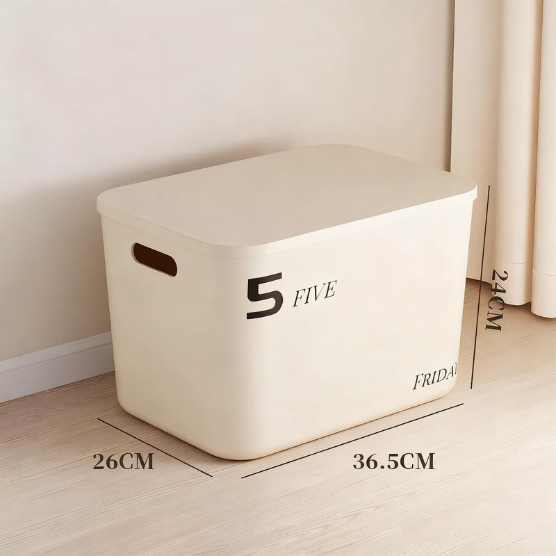 Plastic storage box with lid, medium size
