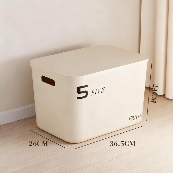Plastic storage box with lid, medium size
