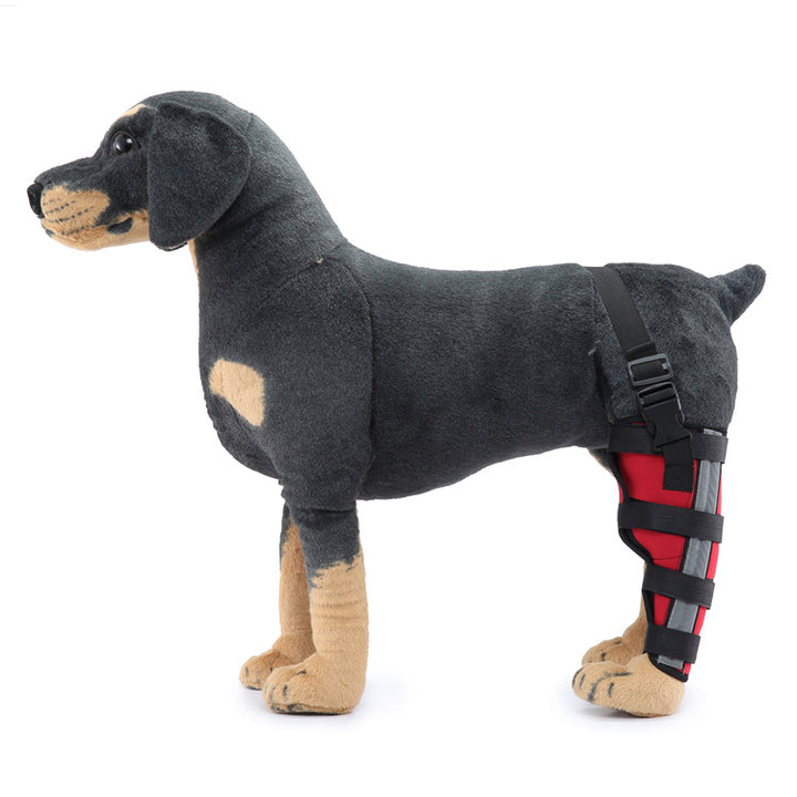 Hind leg support sleeve for dogs, year-round