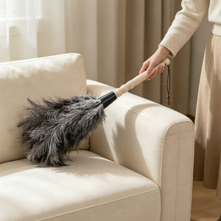 Feather duster made of ostrich feathers, extensible