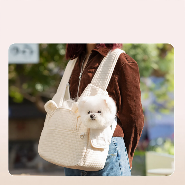 Portable pet carrier bag, bear shape