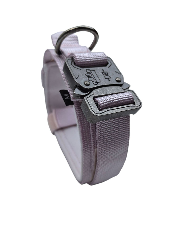 Nylon dog collar with handle