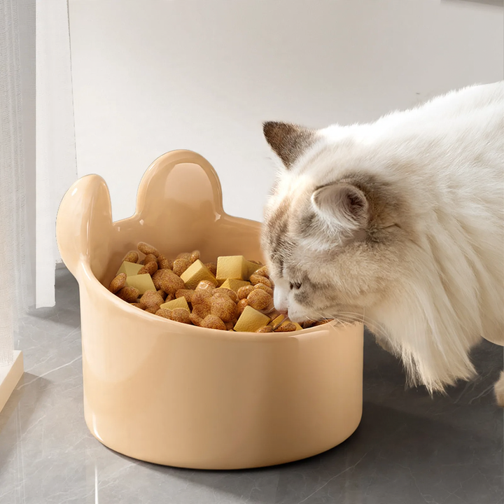 Ceramic bowl for cats and dogs, large size