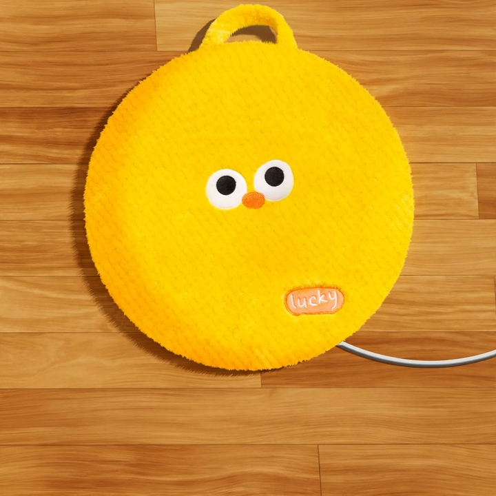 Heated pet mat with cover