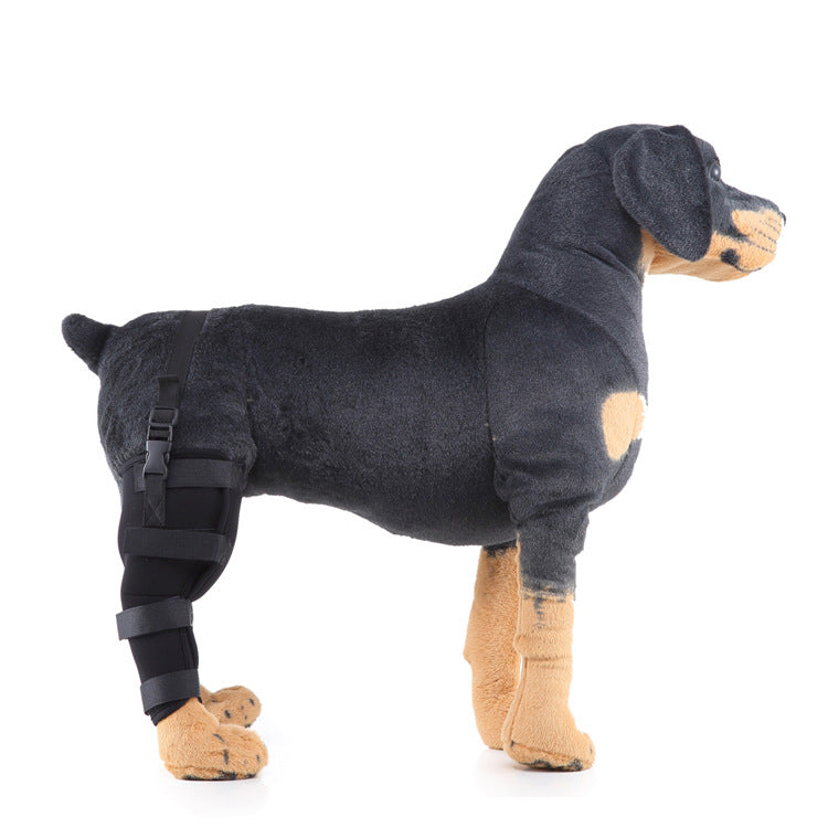 Hind leg support sleeve for dogs, year-round
