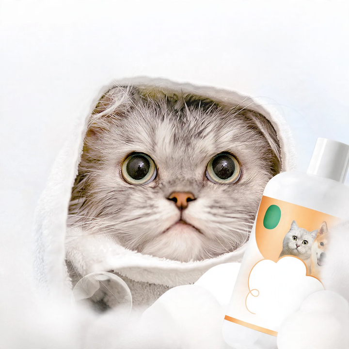 Care shampoo for dogs and cats