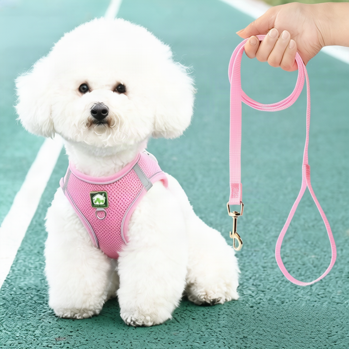 Dog harness for large dogs, padded