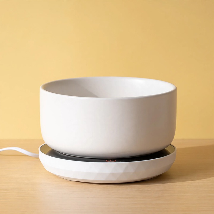 Heated ceramic bowl for cats and dogs