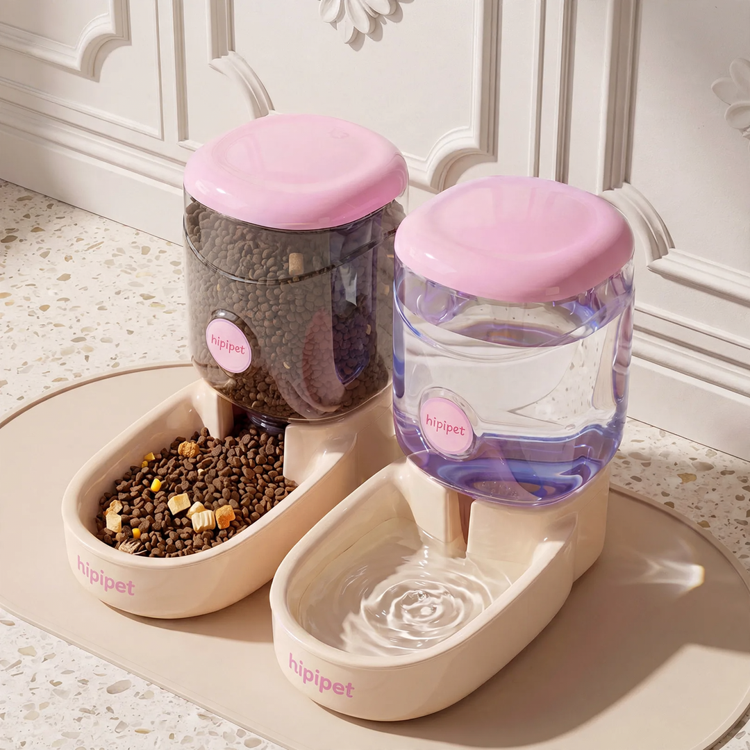 Feeding and Water Bowl for Cats and Dogs
