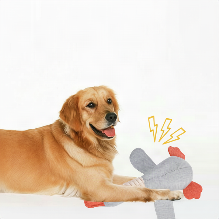 Plush dog toy with squeaker