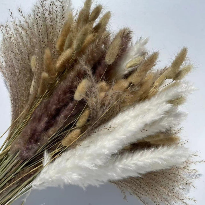 Bleached pampas grass, 145 cm, 10 pieces