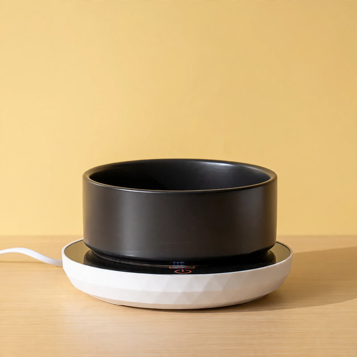 Heated ceramic bowl for cats and dogs