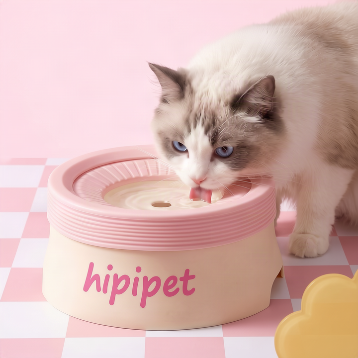 Collapsible dog bowl made of silicone