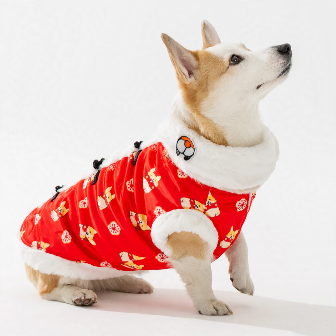 Chinese winter coat for medium dogs with scarf