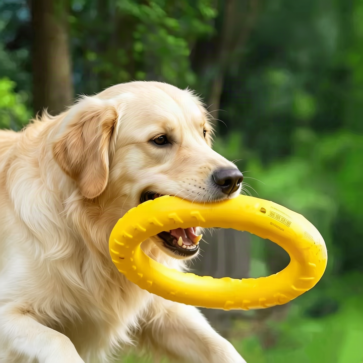 Rubber play ball for dogs with tail