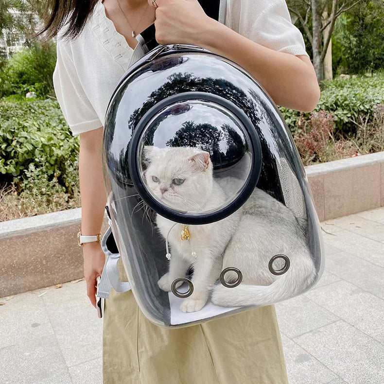 Transport backpack for dogs and cats, canvas