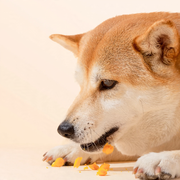 Dog snack with egg yolk core, training reward