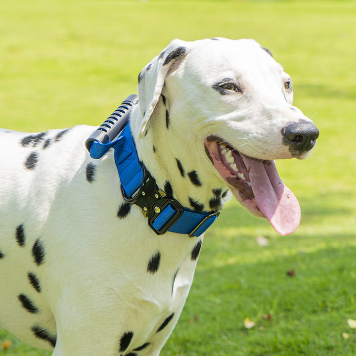 Tactical dog collar with handle