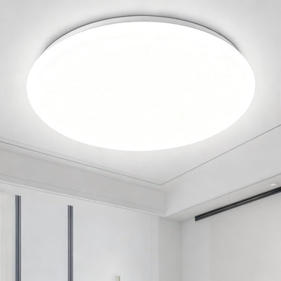 Ceiling light with LED and voice control