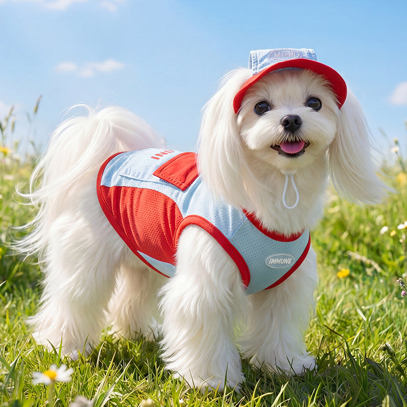 Summer Dog Shirt, Cooling, with Leash